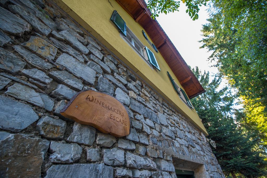 Winemakers Escape Villa Gleisdorf Exteriör bild